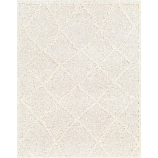 Surya Rodos RDO-2301 Beige Modern  Rug