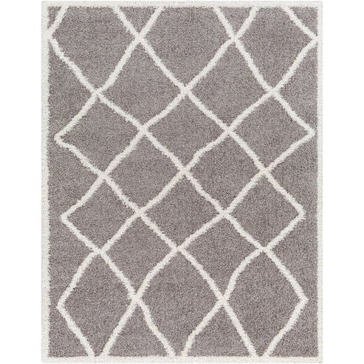 Surya Rodos RDO-2303 Charcoal Modern  Rug