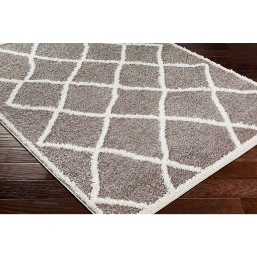 Surya Rodos RDO-2303 Charcoal Modern  Rug