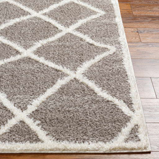 Surya Rodos RDO-2303 Charcoal Modern  Rug