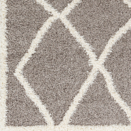 Surya Rodos RDO-2303 Charcoal Modern  Rug