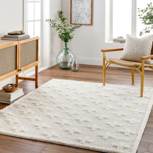 Surya Rodos RDO-2304 Beige Modern  Rug