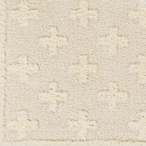 Surya Rodos RDO-2304 Beige Modern  Rug