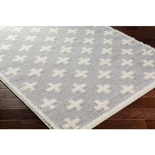 Surya Rodos RDO-2306 Light Slate Modern  Rug