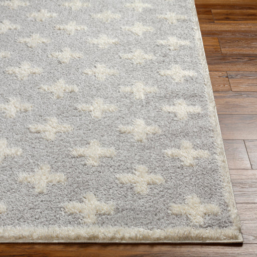 Surya Rodos RDO-2306 Light Slate Modern  Rug