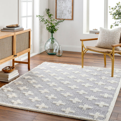 Surya Rodos RDO-2306 Light Slate Modern  Rug