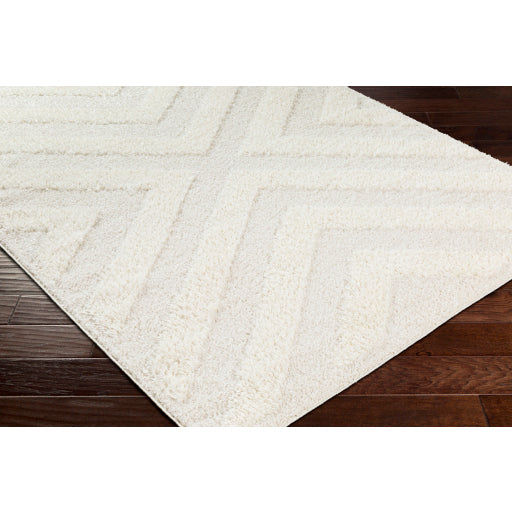 Surya Rodos RDO-2308 Beige Modern  Rug