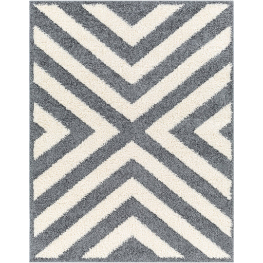 Surya Rodos RDO-2309 Charcoal Modern  Rug