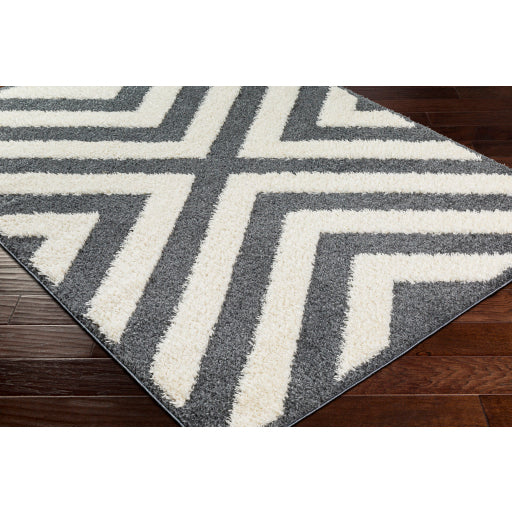 Surya Rodos RDO-2309 Charcoal Modern  Rug