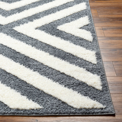 Surya Rodos RDO-2309 Charcoal Modern  Rug