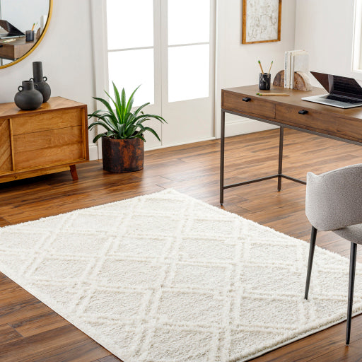 Surya Rodos RDO-2312 Beige Modern  Rug