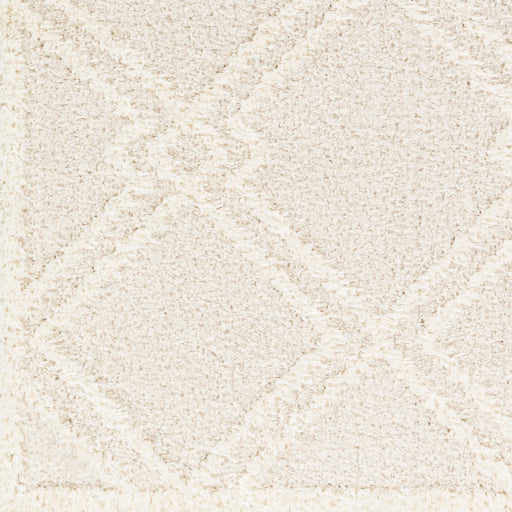 Surya Rodos RDO-2312 Beige Modern  Rug