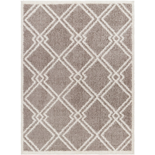 Surya Rodos RDO-2313 Charcoal Modern  Rug