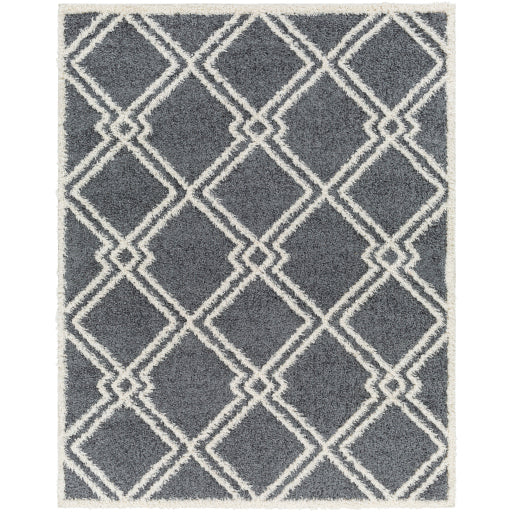 Surya Rodos RDO-2315 Charcoal Modern  Rug