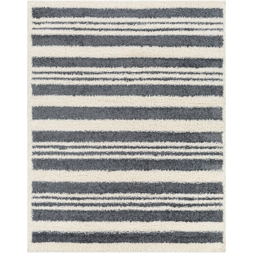 Surya Rodos RDO-2316 Charcoal Modern  Rug