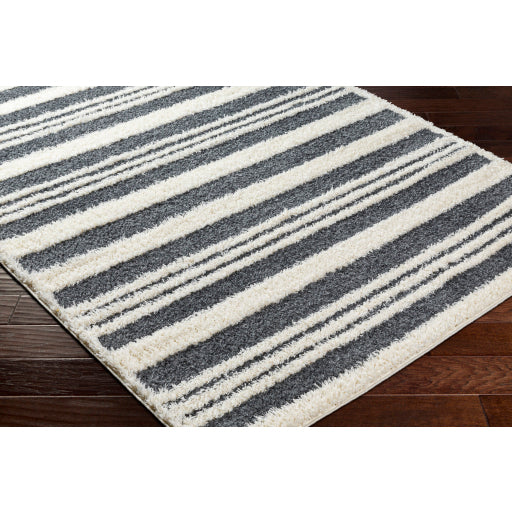 Surya Rodos RDO-2316 Charcoal Modern  Rug