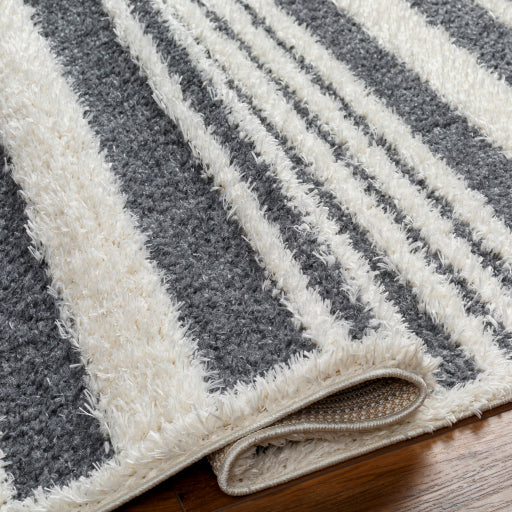 Surya Rodos RDO-2316 Charcoal Modern  Rug