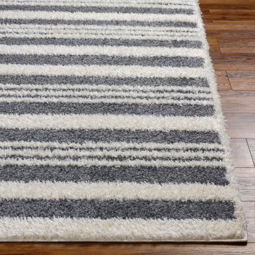 Surya Rodos RDO-2316 Charcoal Modern  Rug