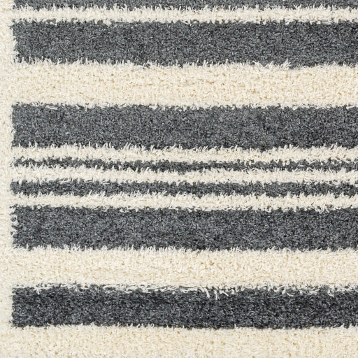 Surya Rodos RDO-2316 Charcoal Modern  Rug