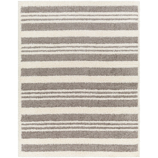 Surya Rodos RDO-2317 Charcoal Modern  Rug