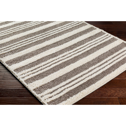 Surya Rodos RDO-2317 Charcoal Modern  Rug