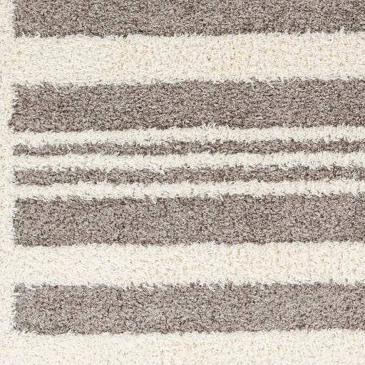 Surya Rodos RDO-2317 Charcoal Modern  Rug