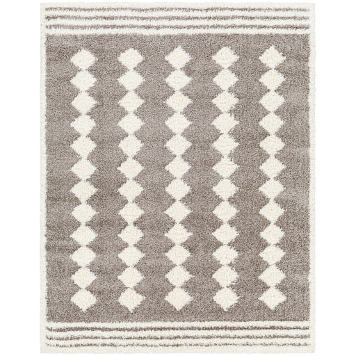 Surya Rodos RDO-2320 Charcoal Modern  Rug