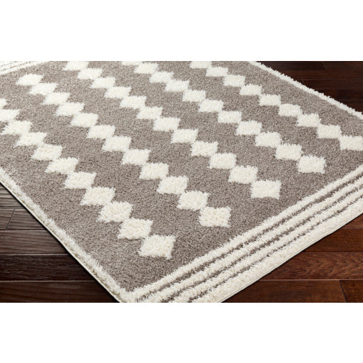 Surya Rodos RDO-2320 Charcoal Modern  Rug