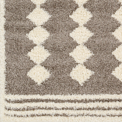 Surya Rodos RDO-2320 Charcoal Modern  Rug