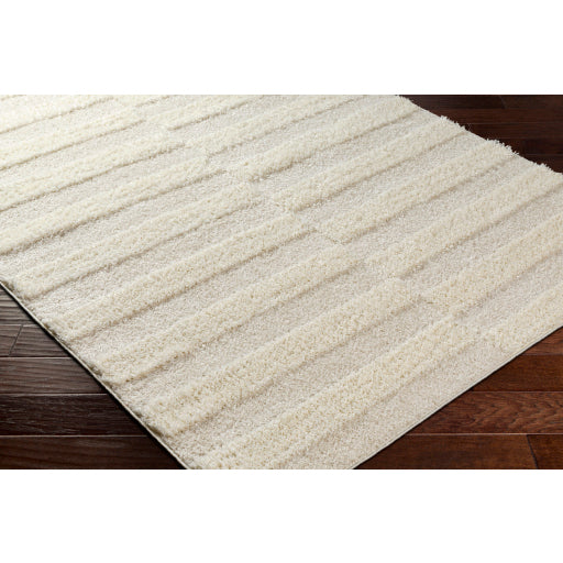 Surya Rodos RDO-2324 Beige Modern  Rug