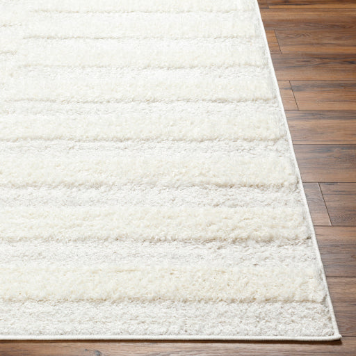 Surya Rodos RDO-2324 Beige Modern  Rug