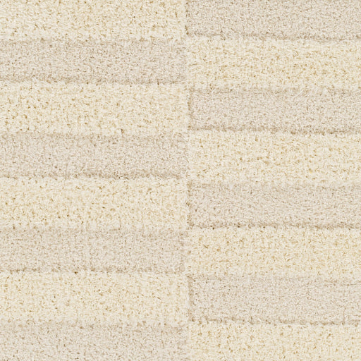 Surya Rodos RDO-2324 Beige Modern  Rug