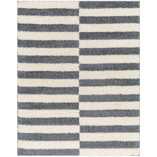 Surya Rodos RDO-2325 Charcoal Modern  Rug