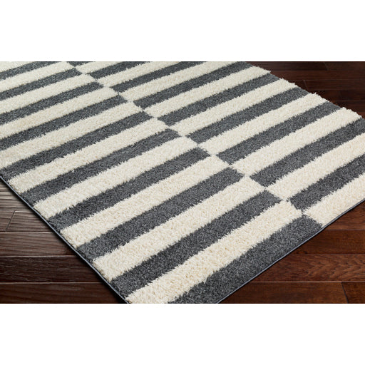 Surya Rodos RDO-2325 Charcoal Modern  Rug