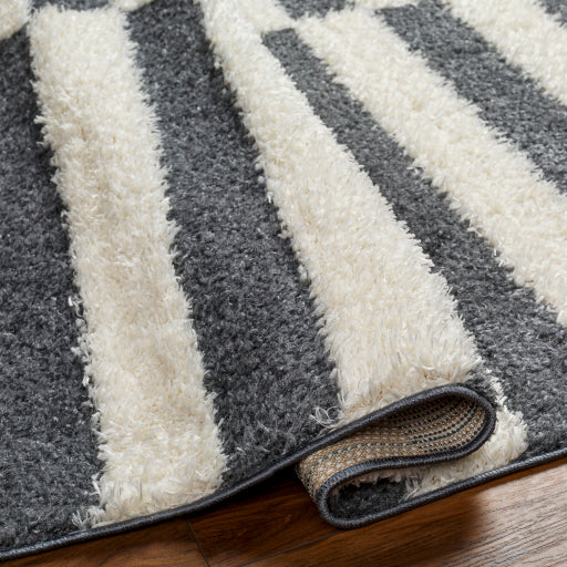 Surya Rodos RDO-2325 Charcoal Modern  Rug