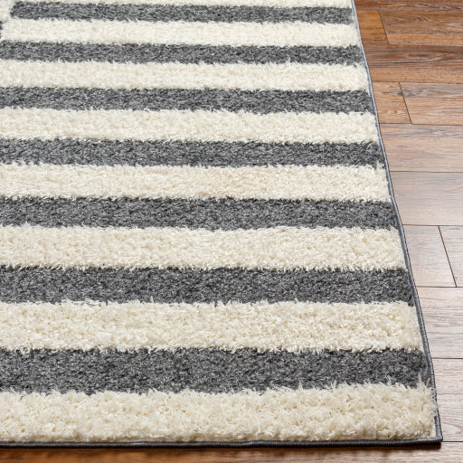 Surya Rodos RDO-2325 Charcoal Modern  Rug