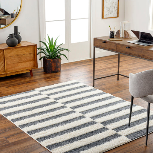 Surya Rodos RDO-2325 Charcoal Modern  Rug