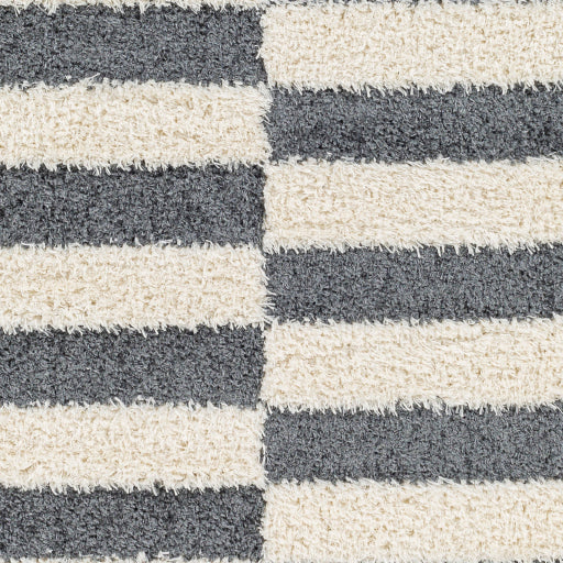 Surya Rodos RDO-2325 Charcoal Modern  Rug