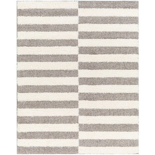 Surya Rodos RDO-2326 Charcoal Modern  Rug