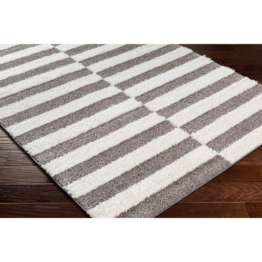 Surya Rodos RDO-2326 Charcoal Modern  Rug