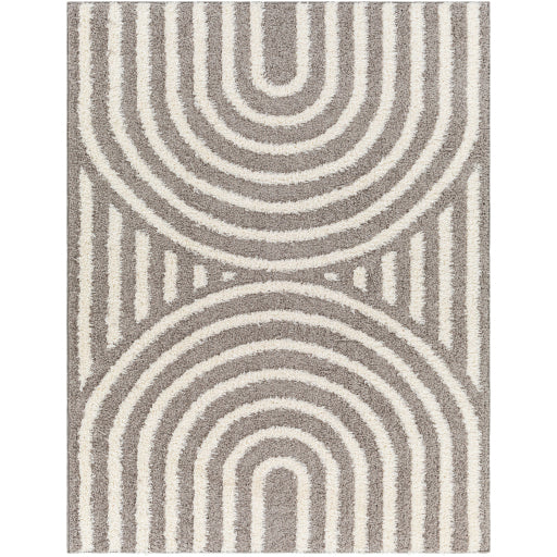 Surya Rodos RDO-2329 Charcoal Modern  Rug