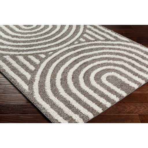 Surya Rodos RDO-2329 Charcoal Modern  Rug