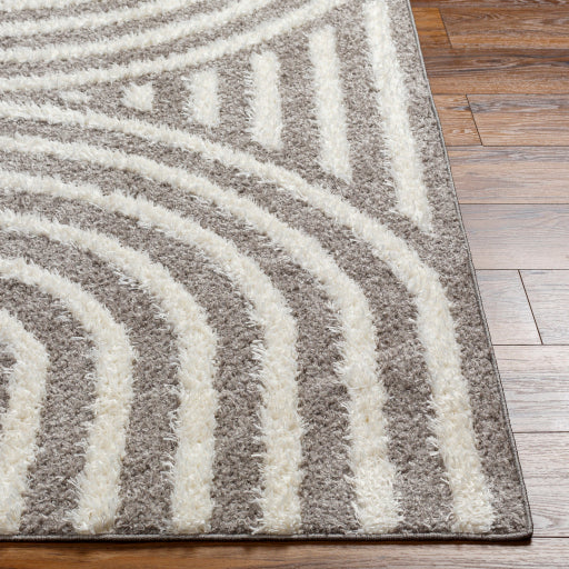 Surya Rodos RDO-2329 Charcoal Modern  Rug