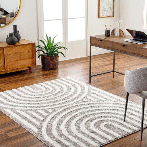 Surya Rodos RDO-2329 Charcoal Modern  Rug