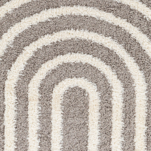 Surya Rodos RDO-2329 Charcoal Modern  Rug