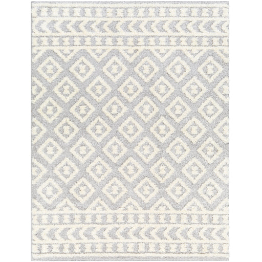 Surya Rodos RDO-2338 Light Slate Modern  Rug