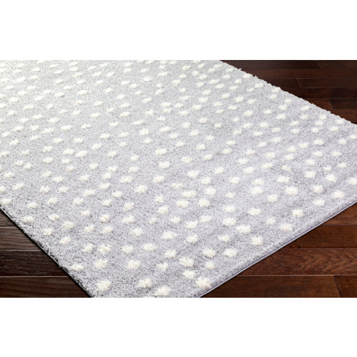 Surya Rodos RDO-2350 Light Slate Modern  Rug