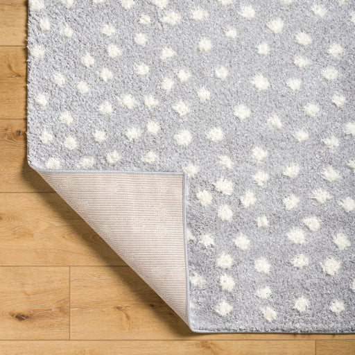 Surya Rodos RDO-2350 Light Slate Modern  Rug