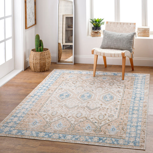 Surya Regen RGE-2304 Cream Traditional  Rug