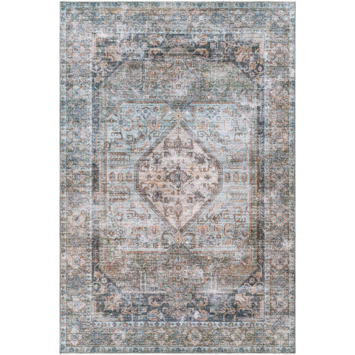 Surya Regen RGE-2311 Pale Blue Traditional  Rug